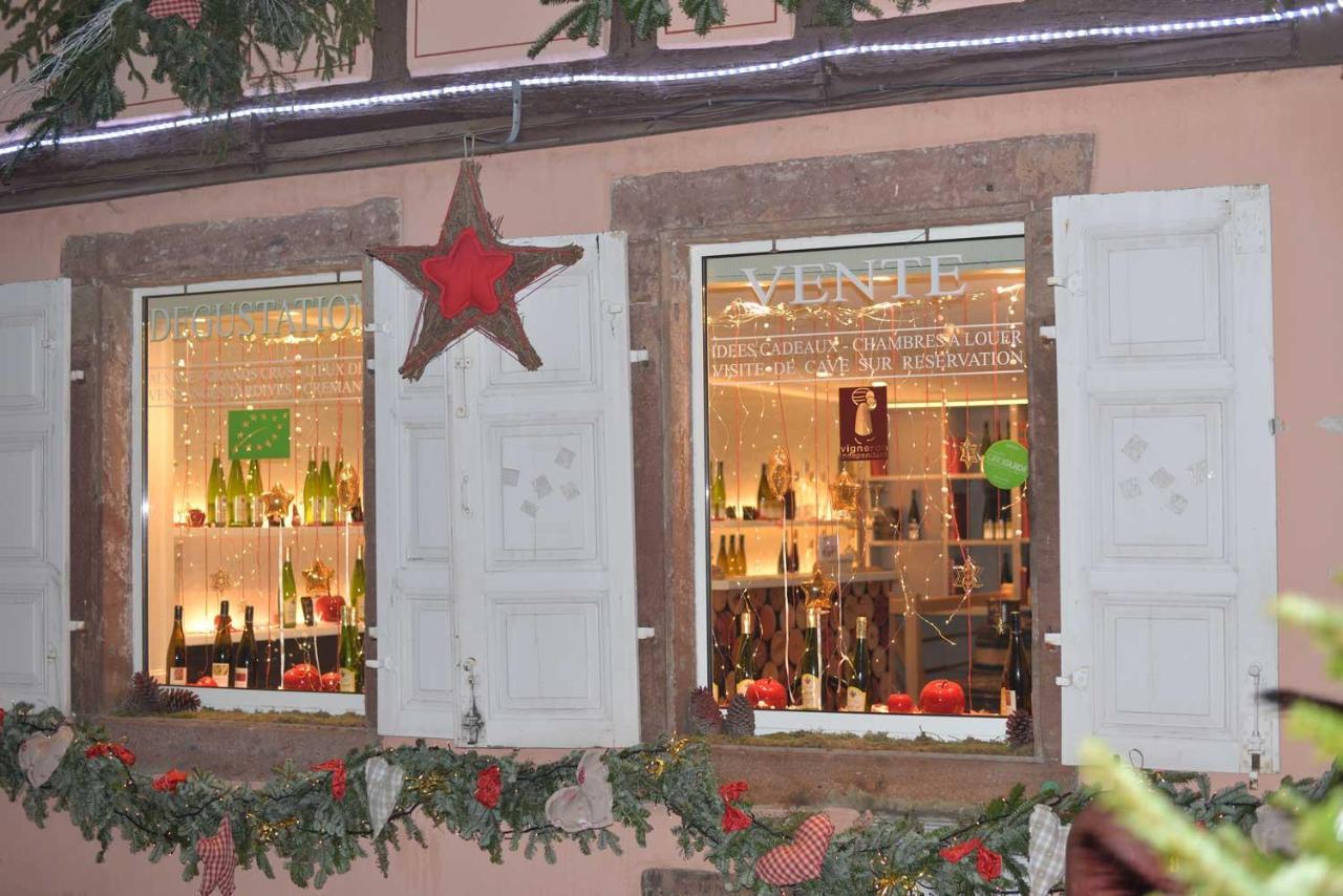 Chez Myriam Bed And Breakfast Studio Parme Colmar Luaran gambar